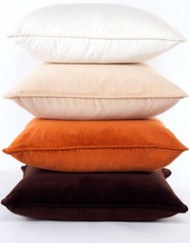 pillows_dana_200_256.jpg